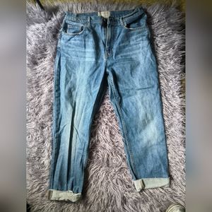 Everlane The Cheeky Jean Size 29 Crop